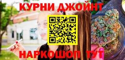 apvp Гатчина