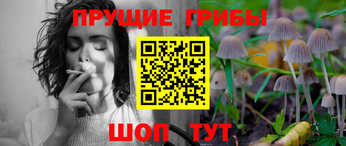 Галлюциногенные грибы MAGIC MUSHROOMS Мыски