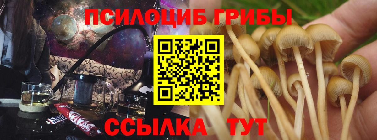 Галлюциногенные грибы Cubensis  Галлюциногенные грибы ЛСД  Мыски  Вход с VPN 
